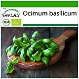 SAFLAX - BIO - Basilico - Dolce Genovese - 800 semi - Ocimum basilicum