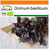 SAFLAX - BIO - Basilico Rosso - 400 semi - Ocimum basilicum