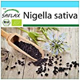 SAFLAX - - BIO - Cumino nero - 300 semi - Nigella sativa