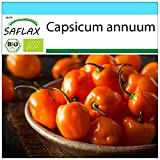 SAFLAX - - BIO - Peperoncino - Habanero Orang - 20 semi - Capsicum annuum