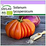SAFLAX - BIO - Pomodoro - Cuor di bue - 10 semi - Solanum lycopersicum