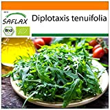 SAFLAX - BIO - Rucola selvatica - 1500 semi - Diplotaxis tenuifolia