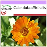 SAFLAX - Calendula - 50 semi - Calendula officinalis