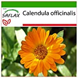 SAFLAX - Calendula - 50 semi - Con substrato - Calendula officinalis