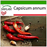SAFLAX - Peperoncino di Cayenna - 20 semi - Con substrato - Capsicum annum