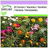 SAFLAX - Prato di fiori da recidere - 1000 semi - 20 Sorten