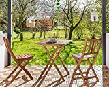 SAM 3 Pezzi Set da Giardino Blossom Composto da 1 Tavolo + 2 sedie Pieghevoli, Pieghevole, Legno di Acacia Massiccio ...