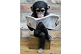 Scimmia seduta Lettura delle notizie, novità decorazione per interni o giardino, eccentrico regalo amante degli scimpanzé