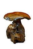 Scultura a fungo in legno di radica, 40 cm, in teak e legno, decorazione per giardino, terrazza e soggiorno