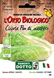 Sdd O.Bio_Cicoria Pan di Zucchero Seme, 0.02x15.5x10.8 cm