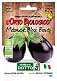 Sdd O.Bio_Melanzana Black Beauty Seme, 0.02x15.5x10.8 cm
