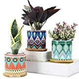 SE SUN-E Set di 3 vasi per piante succulente, fioriere in ceramica di cactus rotonde da 8 cm con vassoi ...