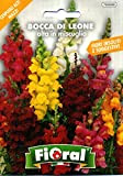 Sementi da fiore di qualità in bustina per uso amatoriale (BOCCA DI LEONE ALTA IN MISCUGLIO)
