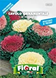 Sementi da fiore di qualità in bustina per uso amatoriale (CAVOLO ORNAMENTALE IN MISCUGLIO)