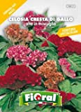 Sementi da fiore di qualità in bustina per uso amatoriale (CELOSIA CRESTA DI GALLO ALTA IN MISCUGLIO)