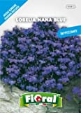Sementi da fiore di qualità in bustina per uso amatoriale (LOBELIA NANA BLUE)