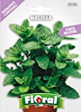 Sementi di piante aromatiche e officinali in bustina ad uso amatoriale (MELISSA)