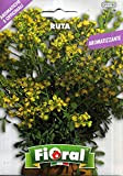 Sementi di piante aromatiche e officinali in bustina ad uso amatoriale (RUTA)