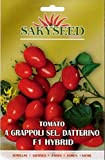 Sementi Semi Di Pomodoro Datterino Tomato Varietà Classica Giardinaggio Ortaggi Coltivazione