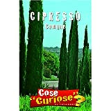 Semi - Cipresso Comune (Cupressus)