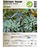 Semi di erbe - Ruta comune - Ruta graveolens - Rutaceae 100 Semi