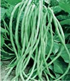 Semi di fagioli lunghi 15g Serpente/Yard-Long Fagioli asparagi Red Noodle Pole Bean Garden Verdura Biologico Green Fresh Chinese Seeds