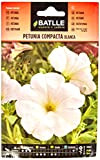 Semi di Fiori – Petunia compatta Bianca – Batlle