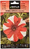 Semi di Fiori – Petunia compatta Stella Rossa – Batlle
