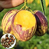 Semi di frutta fresca con 50 pezzi Di semi di pepino Melone dolce Frutta Muricatum Bonsai Garden Yard Pianta per ...