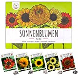 Semi di girasole colorati con alto tasso di germinazione - semi di fiori per un giardino colorato e accogliente per ...