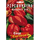 Semi - Peperoncino - Habanero Caribbean Red