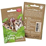 semi Prettykitty per i gatti, semi di Premium (Nepeta cataria) per impianti di 150 catnip
