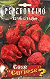 Semi Sementi Di Carolina Reaper Peperoncino Peper - (2 Bustine)