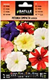 Semillas Batlle - Petunia compatta variata, Multicolore