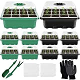 Serra da interni, 10 pezzi a 120 celle, mini serra per piante, vaschette per la coltivazione con 3 attrezzi da ...