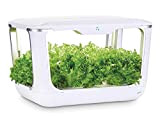 Serra idroponica Green Farm, sistema coltivazione idroponico per erbe aromatiche, piante, fiori con lampada LED, incluso kit soluzioni nutritive e ...