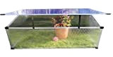 Serra in Policarbonato Aleana 3 per giardino, orto e balcone, con profili trasparenti, lastre in policarbonato da 4mm e filtro ...