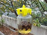 Set di 2 trappole ecologiche per vespe, prodotto italiano