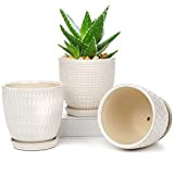 Set di 3 vasi da esterno, vasi per piante interni per piante succulente di orchidee serpente, vasi per orchidee decorazioni ...