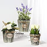 Set di 3 vasi da fiori in vero legno scatole in legno naturale cilindrico shabby vintage aspetto antico porta piante ...