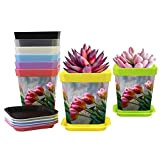 Set di 8 vasi per piante in plastica con tulipani rossi per interni ed esterni, con piattino, decorazione moderna