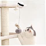 Sfera della pelliccia del gatto giocattolo interattivo elettrica del gatto Palla di sollevamento palla divertente gatto Palla animali giocattolo rotante ...