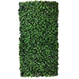 Siepe artificiale English Ivy Recinzione Balcone Giardino 50x100 cm EV
