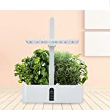 Sistema di coltivazione idroponica 9 cialde Idroponica Indoor Smart Herb Garden Kit per la Casa Cucina, Piantare Interni