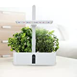 Sistema di coltivazione idroponica Hydroponics Indoor Smart Herb Garden Kit per la cucina domestica, piantagione interna