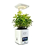 Smart garden idroponica kit - Vaso intelligente con luce di crescita a LED automatica e programmabile, lampada da lettura completo ...