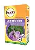 Solabiol Lumachicida PFnPO a base di fosfato ferrico per piante floreali e ornamentali 1 Kg
