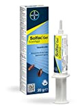 SOLFAC Bayer, Gel Scarafaggi, Insetticida, Pronto all'Uso, con Beccuccio di Precisione, Applicazione nelle Fessure ed Aree Nascoste, 20g