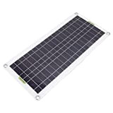 Starter Kit Pannello Solare, Caricatore Solare Inverter Risparmio Energetico Ad Alta Efficienza ABS Ecologico per Campeggio(#1)
