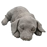 Statua da giardino per cani che dorme – Statua da prato in resina – rifinita a mano con dettagli intricati ...